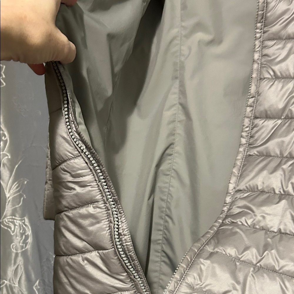 Patagonia Women's Silver Puffer Coat - Picture 8 of 8